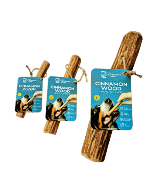 Ceylon Cinnamon Trails Cinnamon Wood Dog Chew Small / Medium / Large